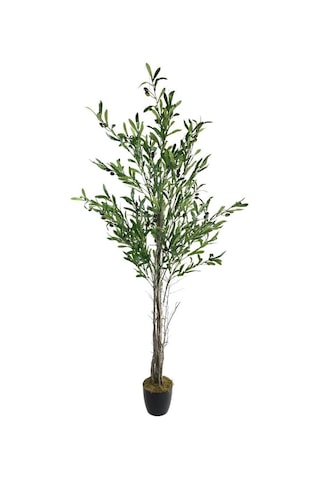 Yapay Zeytin Ağacı 160Cm Tek Gövdeli Çalılı Doğal Gerçek Görünüml