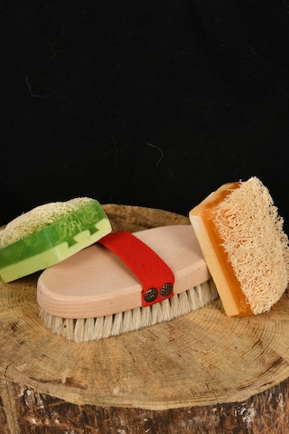 Şık Kalıp Doğal At Kılı Fırça ve Lifli Sabun 3'lü Set