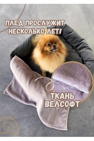 Mur Hayvanlar İçin Battaniye: Köpekler Ve Kediler İçin 60x40 Cm Örtü 176362851