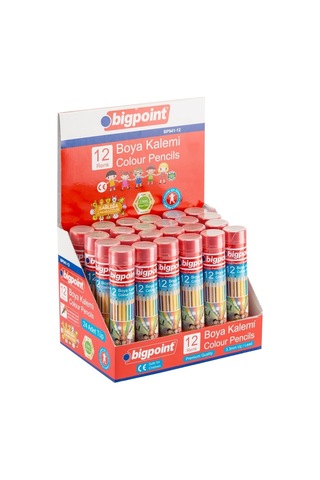 Bigpoint Metal Tüpde Kuru Boya Kalemi 12 Renk 24'lü Kutu