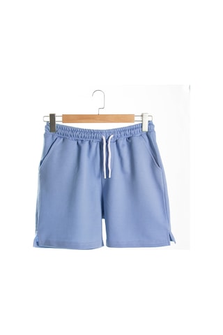 Terapi Men Erkek Mavi Basic Regular Fit Şort & Bermuda Gök Mavisi
