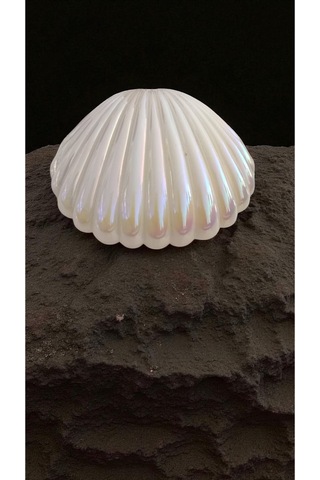 Çok Şık Hediyelik Ürün Ledli İstiridye 13 15 Cm