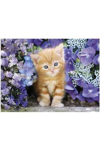 Clementoni Zencefil Kedi 500 Parça Puzzle