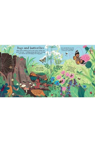 The Usborne Look Inside Nature 5+ Yaş