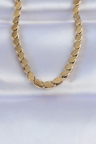 316l Çelik Gold Renk Arpa Model Kolye Renkli