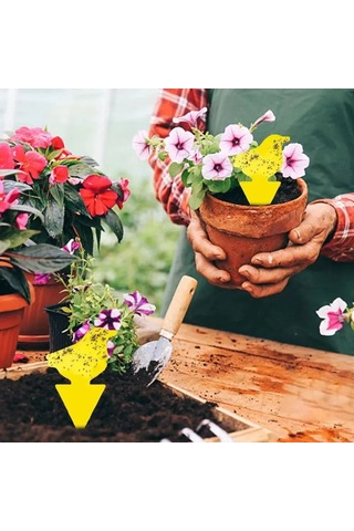 Neevoyu 24 Adet Sarı Bitki Haşere Tutucu Tutanaklı Paneller - Sinek, Sinek, Akar, Beyaz Sinek Ve Diğer Böcekler İçin Ev Bitkileri Koruma