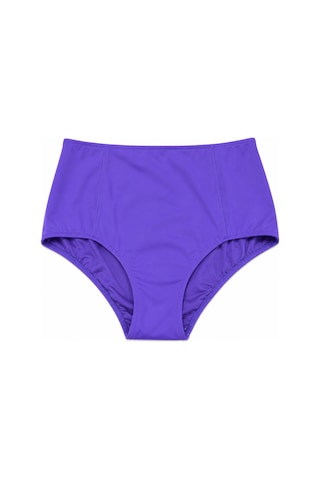 Büyük Beden Toparlayıcı Yüksek Bel Kadın Bikini Altı Lila