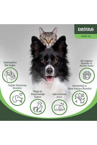 Pawgus Kenevir Yağ Kedi Köpek SakinleştiriciHiperaktivite