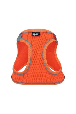 Üç Kilitli Sportif Kedi Köpek Göğüs Tasması 24-28 Cm Xx-small Turuncu