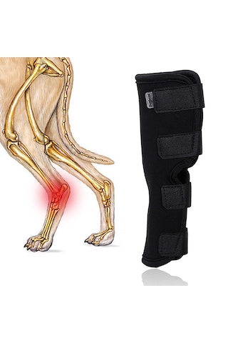 Homyl Artrit Yara İyileştirmesinden Kaynaklanan Stabilite Xl