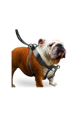 Karlie Easy Walker Kolay Yürüyüş Köpek Göğüs Tasması 52 x 84 cm X