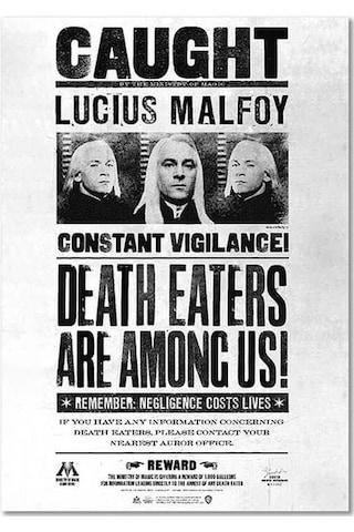Wizarding World Harry Potter Poster Lucius Malfoy B