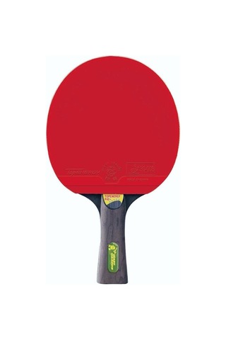 Giant Dragon P40+masa Tenisi Raketi Ittf Onaylı