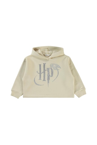 Harry Potter 6-9 Yaş Sweatshirt Çok Renkli