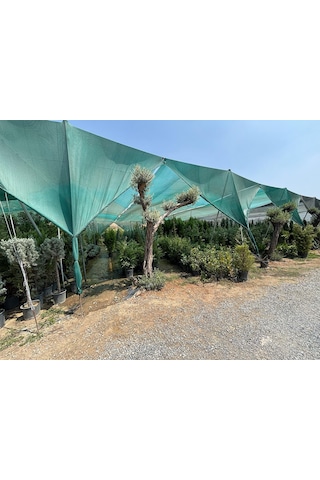 Bahçe Filesi - 95lik - Yeşil -şeritli Halkalı