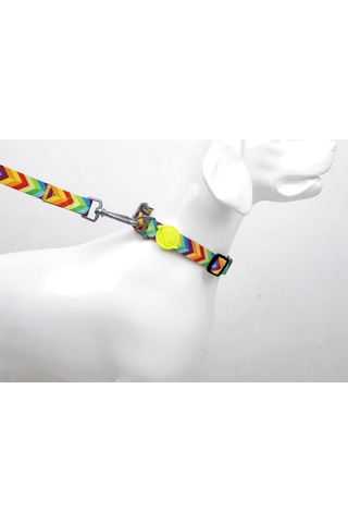 Tailpetz Boyun Tasmaları Large, Raınbow Çok Renkli
