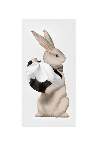 Spextrum Tissue Up Tale Wonder Rabbit Peçetelik Beyaz