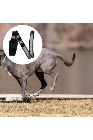 Homyl Köpek Arka Bacak Hock Koruyucu Kılıf Yaraları Korur M