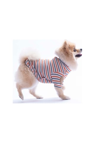 Kiremit Marseille Softline Çizgili Kedi Köpek Sweati Köpek Kıyafeti Kedi Kıyafeti