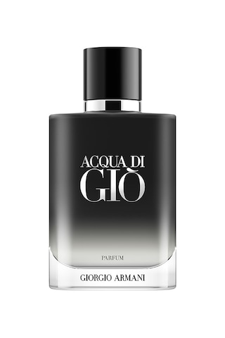 Giorgio Armani Acqua Di Gio Erkek Parfüm 100 ML