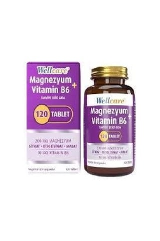 Wellcare Magnesium Vitamin B6 120 Tablet