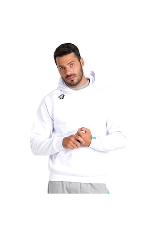 Arena Team Hooded Sweat Panel Erkek Beyaz Günlük Stil Sweatshirt 004904100 Beyaz