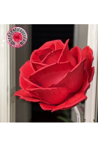 50cm 50cm Eva Dev Güller 20mm Giriş 18cm Glop Organizasyon Ürünü