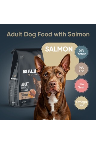 Bialins Premium Yetişkin Köpek Maması Somonlu 2.5kg