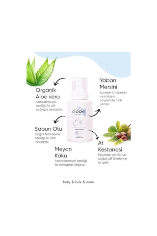 Clooe Organik El Temizleme Köpüğü Yaban Mersini Aloe Vera Meyan Kökü İçerikli 300 ML
