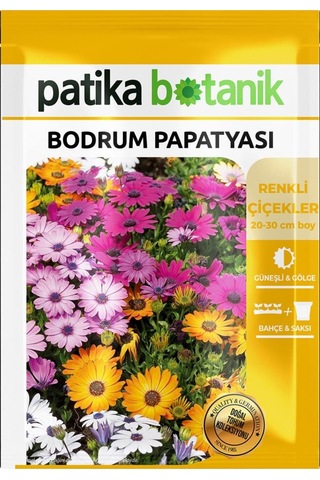 50 Adet Bodrum Papatyası Çiçek Tohumu