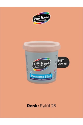 Filli Boya Momento Silan İpeksi Mat İlham Paketi 100 ML