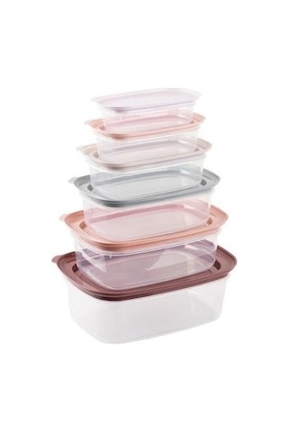 Tantitoni 6'lı Pembe-gri Çok Renkli Plastik Saklama Kabı Seti