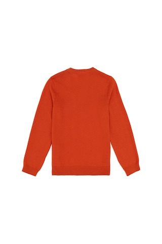 U.S. Polo Assn. Erkek Çocuk Kiremit Basic V Yaka Kazak 50294200-VR031