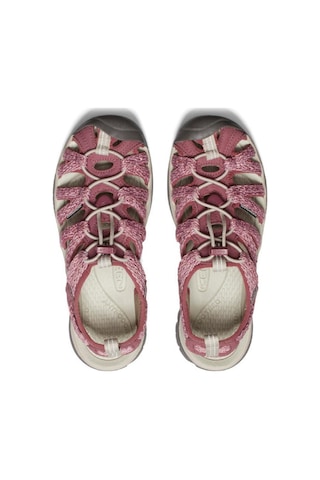 Keen 1003717 Z Whisper Outdoor Gül Kurusu Kadın Sandalet Gül Kurusu
