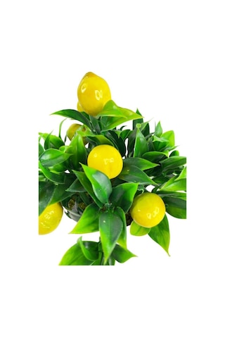 Yapay Çiçek Beyaz Saksıda Limon Dekoratif Masa Çiçeği 25Cm