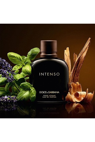 Dolce & Gabbana Intenso Pour Homme Edp 125 Ml Erkek Parfümü Aromatik - Odunsu