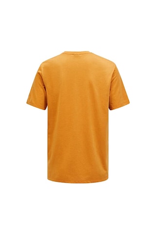 Peak Performance M Explore Graphıc Tee Erkek Günlük Tişört G79744040t Turuncu