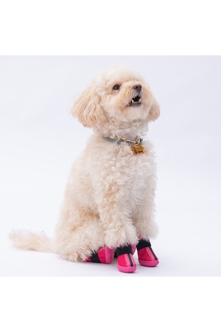 Pawstar Fuşya Köpek Ayakkabısı