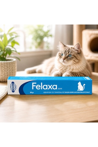 Felaxa Joint 80 Gr