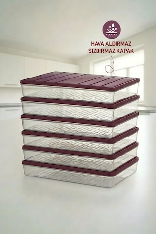 Selka Home 6 Adet 2,5 Lt. Nora Organizer Buzdolabı Buzluk Düzenleyici Saklama Kabı