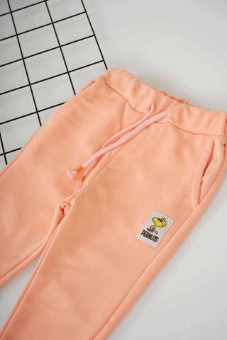Miniko Kids Unisex Bileği Ribanalı Pamuk Eşofman Altı Turuncu