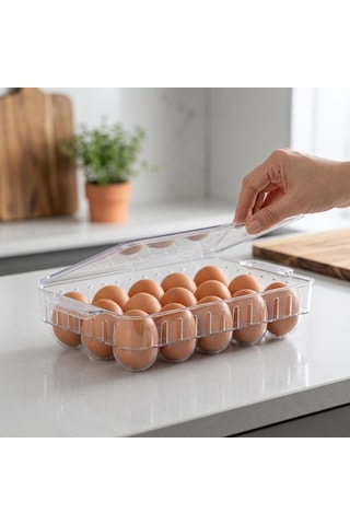 Lexroo 15 Li Yumurta Saklama Kabı, Kapaklı Şeffaf Plastik Yumurta Kutusu