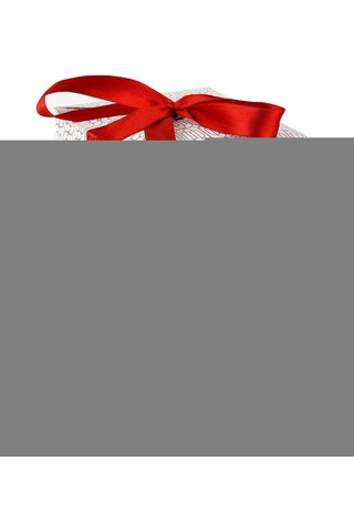 Gümüş Çelik Erkek Bileklik Frj10155a-a 2 Yıl Garantili Hediye Paketli