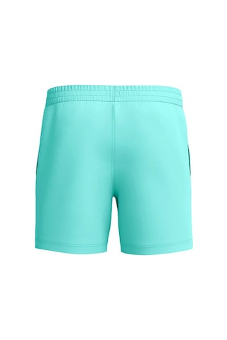 Speedo Essentials 16 Watershort Am Blue Erkek Yüzücü Mayosu 8-1243316243 Mavi Mavi