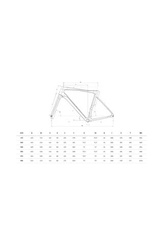 Bianchi Specialissima - Shimano Ultegra Dı2 12v - Bianchi B 49r Karbon Bronz 53cm Beyaz