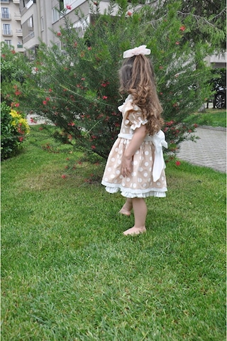 Puantiyeli Bebe Yakalı Arkası Fiyonklu Kız Çocuk Elbise Bej