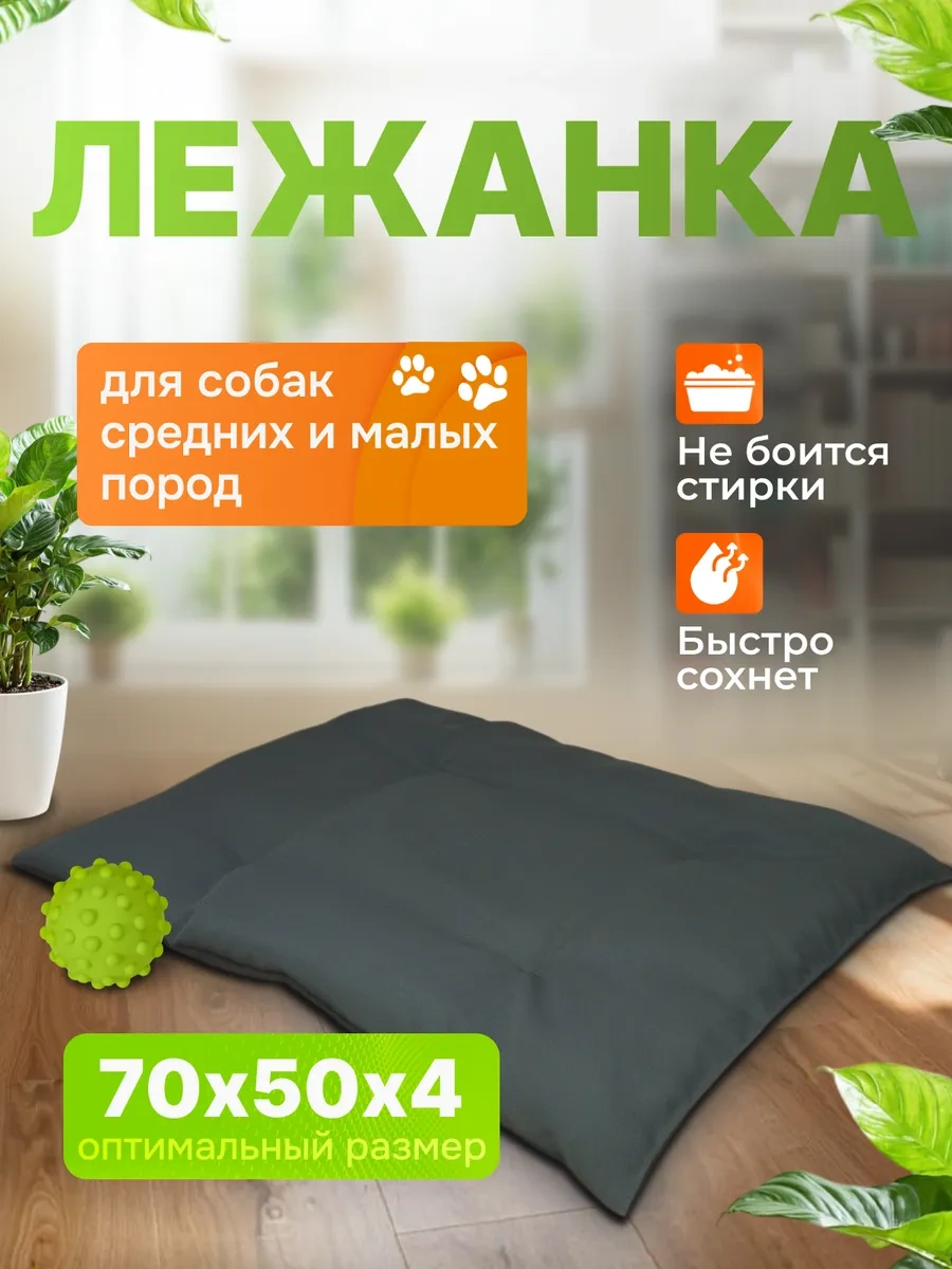 Gurenkot Köpek Yatağı 245497195