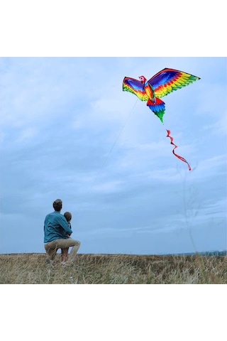 Vkemall 3d Renkli Papağan Uçurtma, 140x78cm, Hafif Dayanıklı, 100m İp Ve Taşıma Çantası, Çocuklar İçin Park/plajda Eğlence