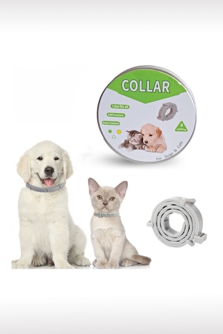 Kedi Anti Pire Kene Önleyici Tasma 38 Cm Pire Önleyici Tasma Kene Önleyici Tasma