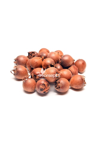 Muşmula Fidanı N11.272